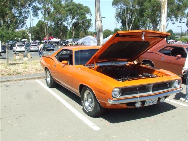 DSCF2824  Small 