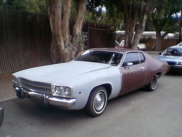 Imga0653